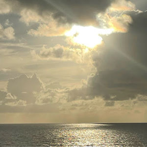 Meet your Posher, Rhonda